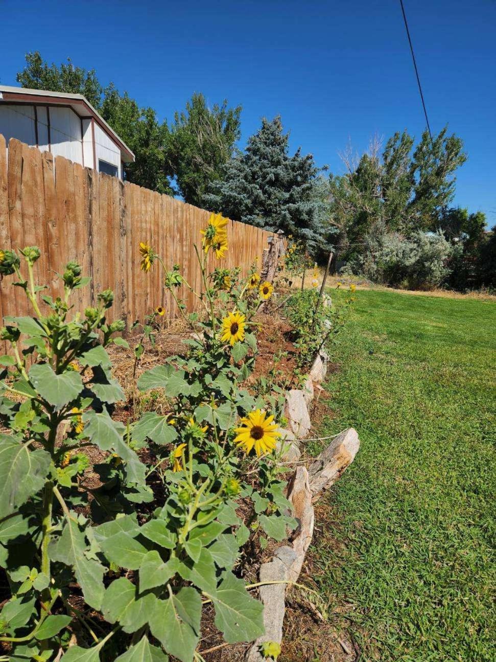 Let'S Go ! Fisherman, Families, Pools One Minute From Your Door, Comfort, Location Perfect, Amenity-Rich, Pup Friendly, Discover An Exceptional Wyoming Stay, Thermopolis River Walk Home At Hot Springs State Park, 'Where Families And Fisherman Stay' Екстер'єр фото
